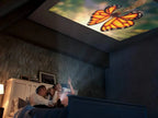 Mini Projector 1000 Lumens LED HDMI USB SD