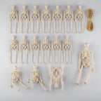 Mini Skeleton Figurines Posable Molded Plastic With Jute String