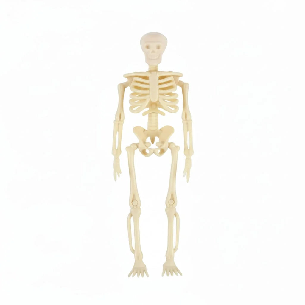 Mini Skeleton Figurines Posable Molded Plastic With Jute String