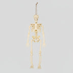 Mini Skeleton Figurines Posable Molded Plastic With Jute String