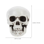 Mini Skull Decorations Set of 10 White Finish