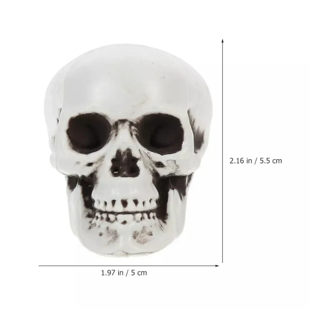 Mini Skull Decorations Set of 10 White Finish