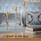 Minimalist Polished Stainless Steel Candle Holder Set (3-Piece)