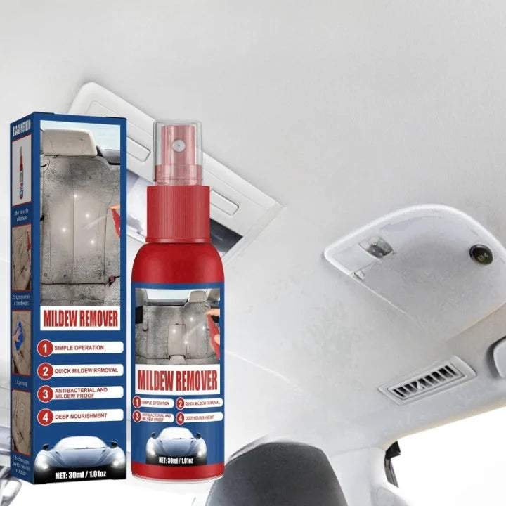 Mold Remover Spray Leather, Fabric & Plastic Safe 2-Pack