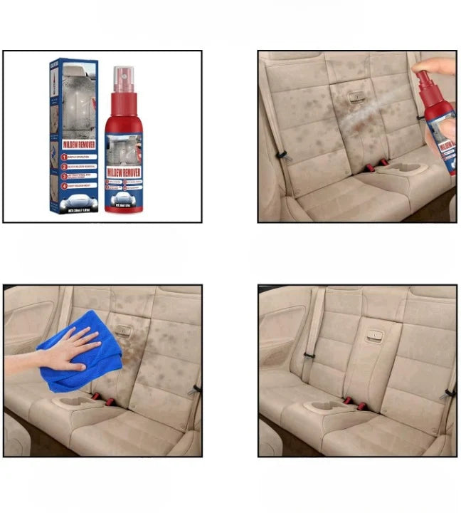 Mold Remover Spray Leather, Fabric & Plastic Safe 2-Pack