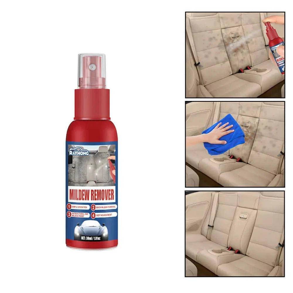 Mold Remover Spray Leather, Fabric & Plastic Safe 2-Pack