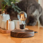 Moon Lamp Levitating Touch Control Wooden Base