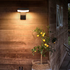 Motion-Activated Adjustable LED Outdoor Wall Sconce
