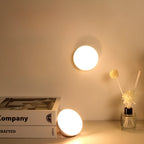 Motion Sensor LED Light USB Or Battery-Powered Tool-Free