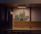 Motion Sensor Wall Light USB-C Rechargeable 30-Day Battery