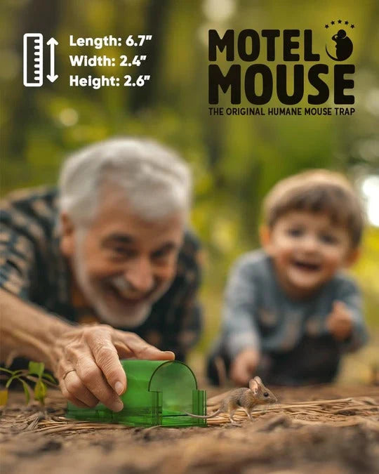 Mouse Trap No-Touch Release See-Through & Ventilated