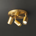 Multi-Head Ceiling Light Adjustable Heads Metal With Brass Accents