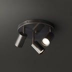 Multi-Head Ceiling Light Adjustable Heads Metal With Brass Accents