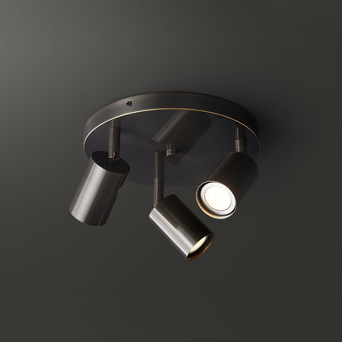 Multi-Head Ceiling Light Adjustable Heads Metal With Brass Accents