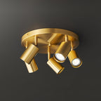 Multi-Head Ceiling Light Adjustable Heads Metal With Brass Accents