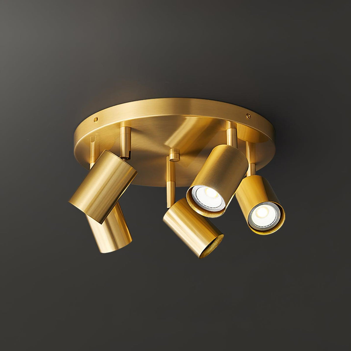 Multi-Head Ceiling Light Adjustable Heads Metal With Brass Accents