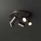 Multi-Head Ceiling Light Adjustable Heads Metal With Brass Accents