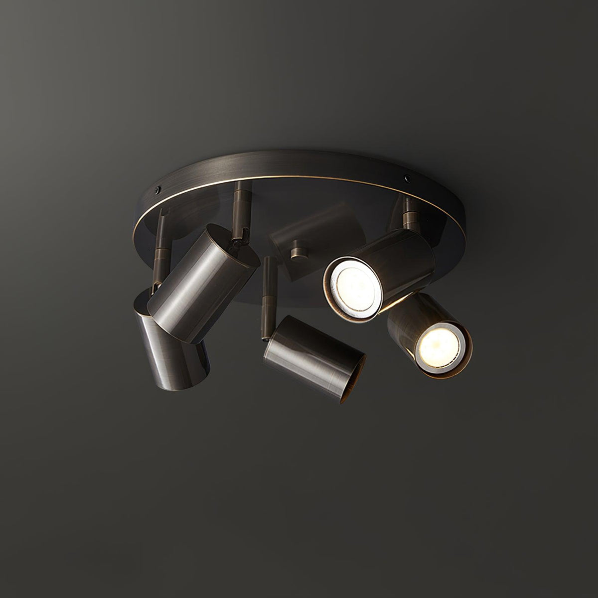 Multi-Head Ceiling Light Adjustable Heads Metal With Brass Accents