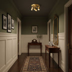 Multi-Head Ceiling Light Adjustable Heads Metal With Brass Accents