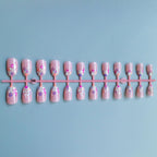 Nail Art Kit 3D Floral Acrylic Powders & Tools