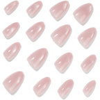 Nail Art Kit Acrylic Blend High-Shine Non-Toxic