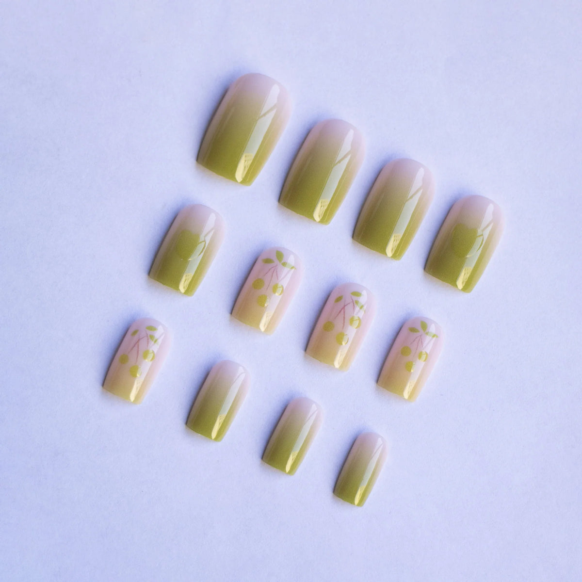 Nail Art Kit Floral Stencils Ombre Gel Long-Lasting Finish