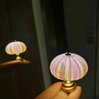 Night Lamp Sea Urchin Shell Soft Warm Glow