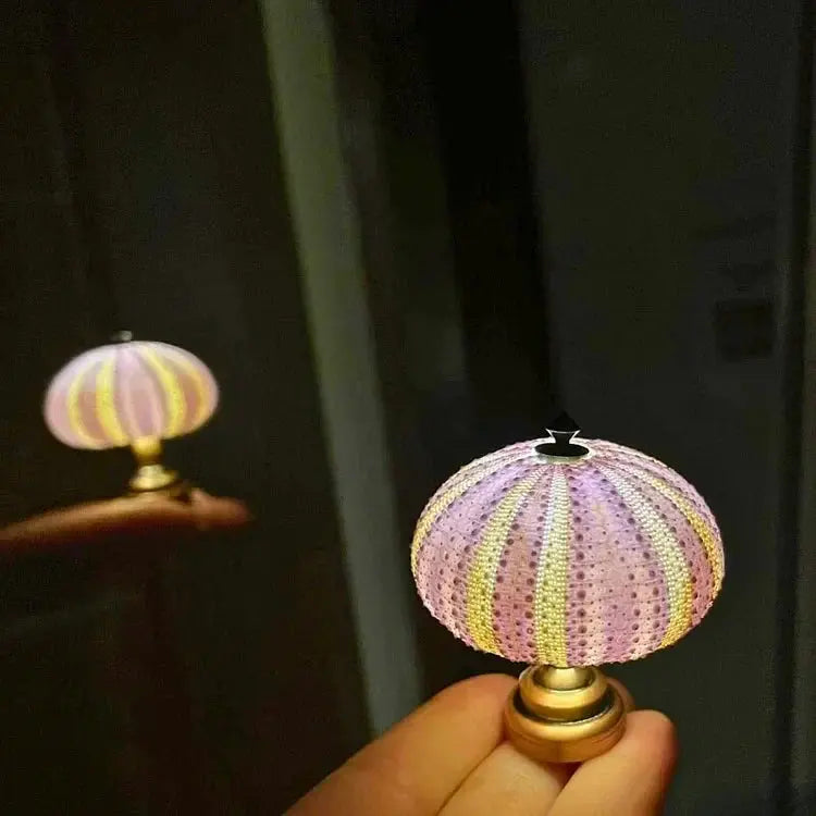 Night Lamp Sea Urchin Shell Soft Warm Glow
