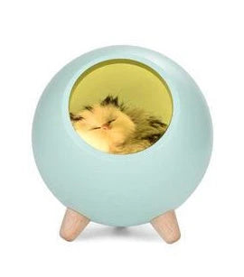 Night Light Bluetooth Speaker USB Rechargeable Beech Wood Accent