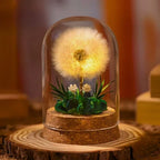 Night Light Preserved Flowers Glass Dome Battery-Powered