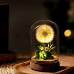 Night Light Preserved Flowers Glass Dome Battery-Powered