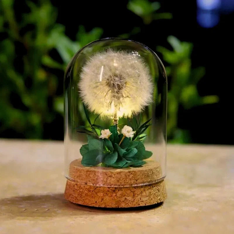 Night Light Preserved Flowers Glass Dome Battery-Powered