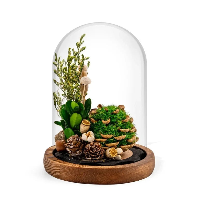 Night Light Preserved Flowers Glass Dome Battery-Powered