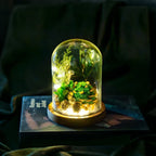 Night Light Preserved Flowers Glass Dome Battery-Powered