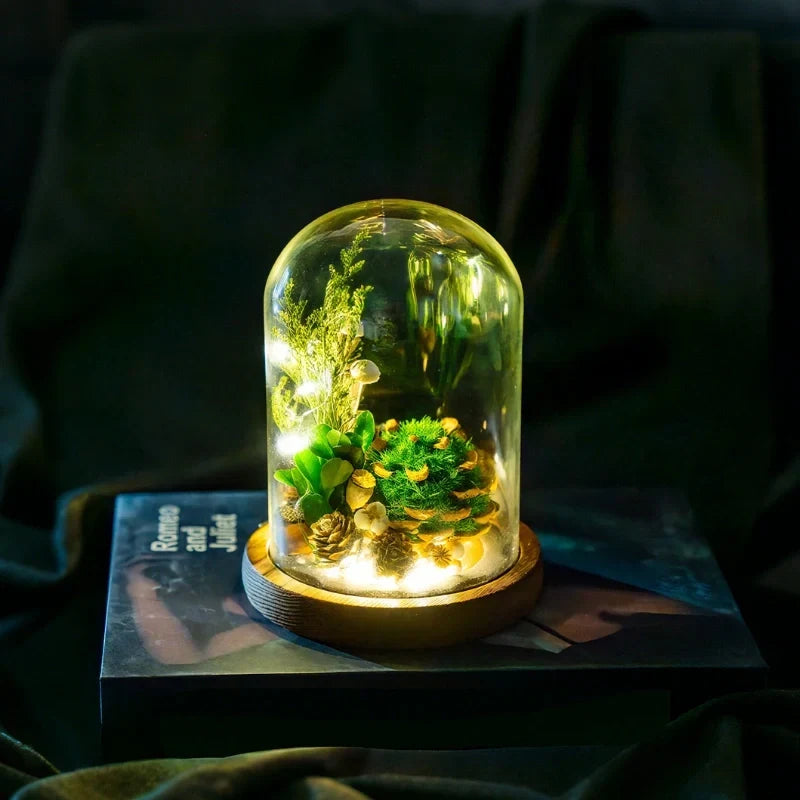 Night Light Preserved Flowers Glass Dome Battery-Powered