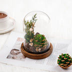 Night Light Preserved Flowers Glass Dome Battery-Powered