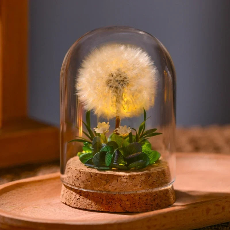Night Light Preserved Flowers Glass Dome Battery-Powered