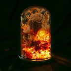 Night Light Preserved Flowers Glass Dome Battery-Powered