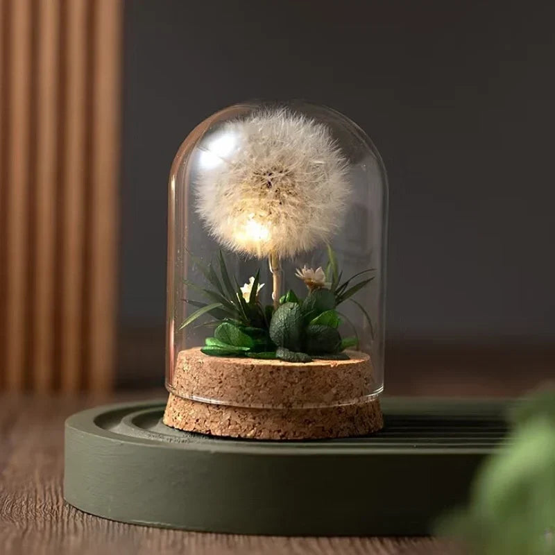 Night Light Preserved Flowers Glass Dome Battery-Powered