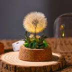 Night Light Preserved Flowers Glass Dome Battery-Powered
