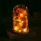 Night Light Preserved Flowers Glass Dome Battery-Powered