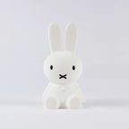 Night Light Rabbit Figure Soft Warm Glow