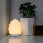 Night Light Rechargeable 100 Hour Touch Control
