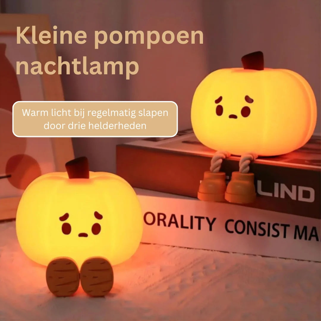 Night Light Silicone Touch Dimmer & USB Rechargeable