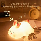 Night Light Soft Silicone USB Rechargeable & Auto Timer
