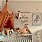 Nursery Canopy Chiffon Insect Protection 240cm Length