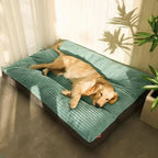 Orthopedic Dog Bed Plush Top Supportive Padding