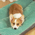 Orthopedic Dog Bed Plush Top Supportive Padding