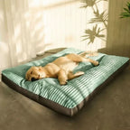Orthopedic Dog Bed Plush Top Supportive Padding
