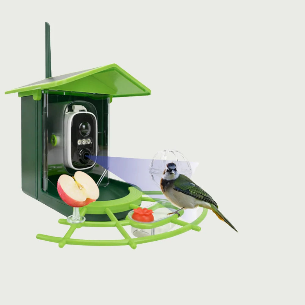 Outdoor Bird Feeder Camera 2K Video App Alerts